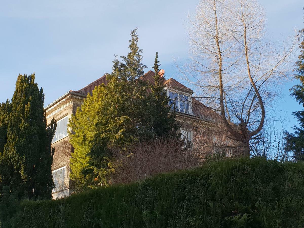 Ferienwohnung Mit Flair Dresda Esterno foto